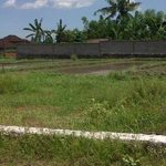 Status Tanah Letter C
