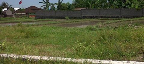 Status Tanah Letter C